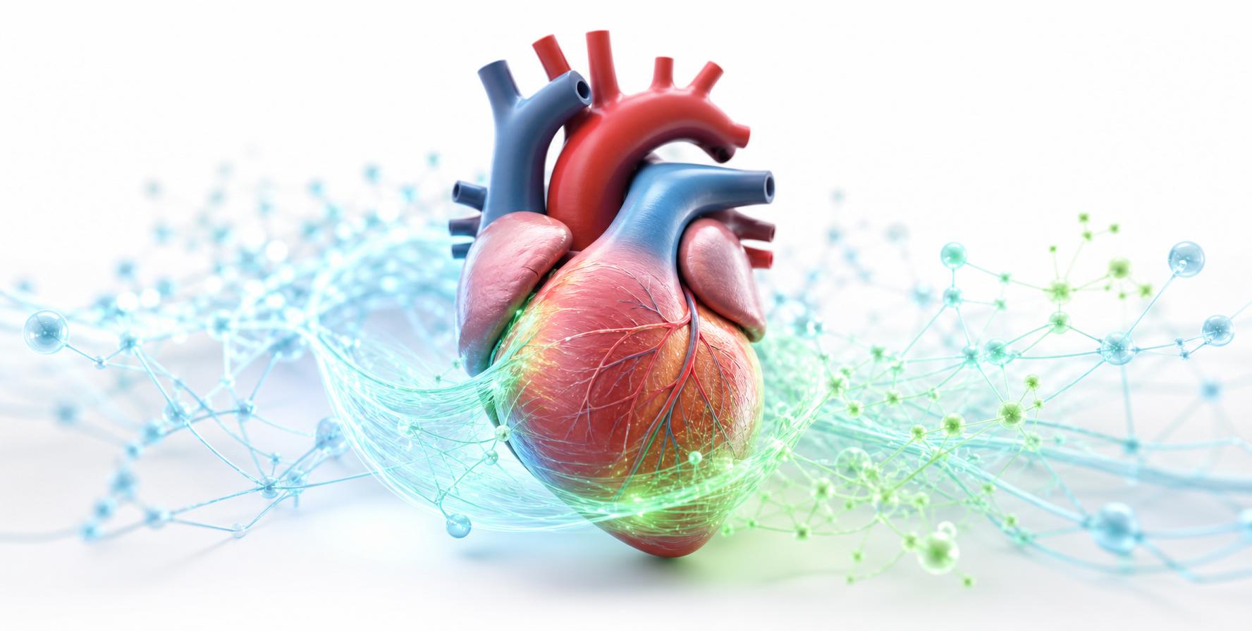 Metabolic heart health
