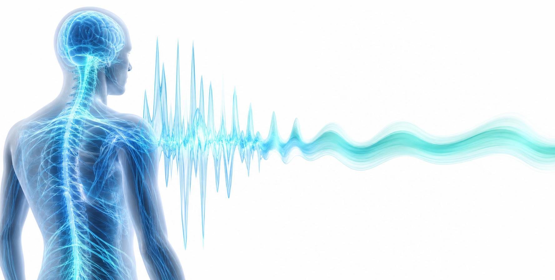 Nervous system regulation